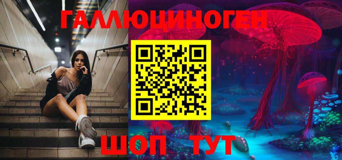 Псилоцибиновые грибы Psilocybine cubensis  Вход с VPN  Карабулак 